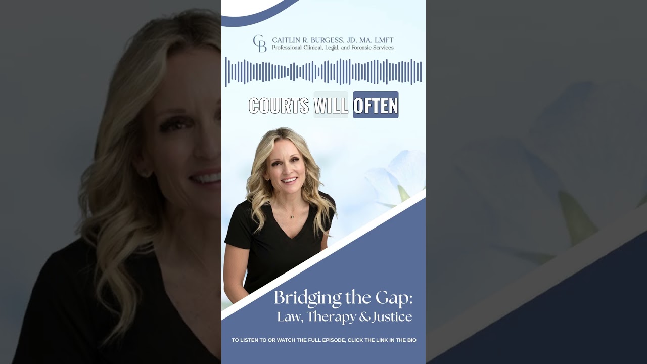 How Does Caitlin Burgess Support Families in High Conflict Custody Cases?