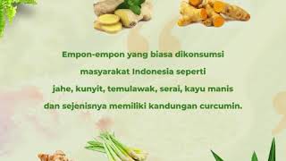 TANAMAN HERBAL CEGAH VIRUS CORONA