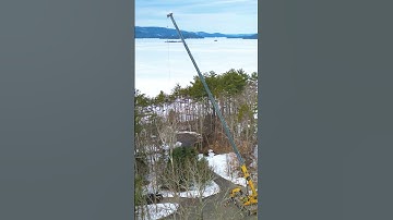 PICKING WHOLE TREES #shorts #treework #crane #arborist #treeremoval