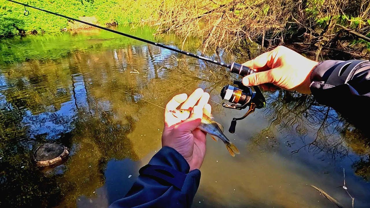 Бюджетный МОРМЫШИНГ с  Dayo limerence! По цене ДЕШЕВЛЕ НЕТ!