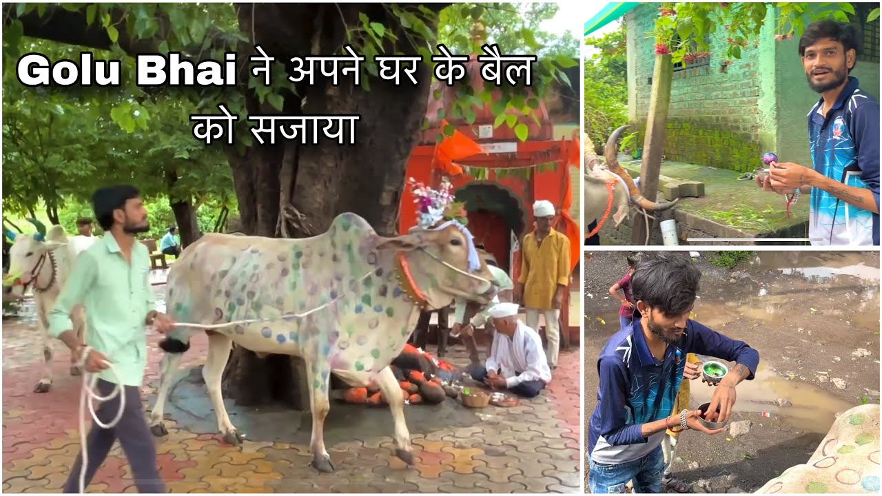 🙏🏻❤️The Voice King group की और से हैप्पी बैलपोळा❤️🙏🏻