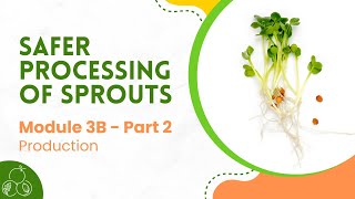 Sprouts: Module 3B | Sprout Production | Part 2