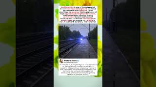 Ball Lightning: The Mysterious Floating Electricity Phenomenon