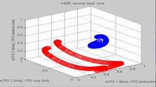 Coupled neural attractors