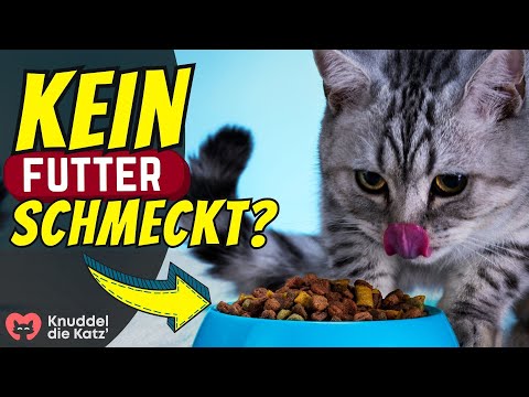 Video: Verursacht Sheba-Katzenfutter Durchfall?