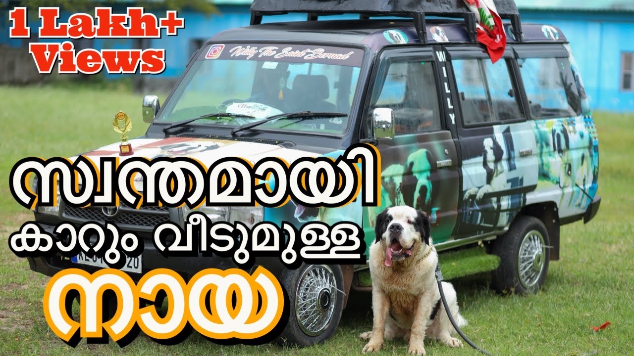 ചതിച്ചു നേടിയതല്ല, സ്നേഹിച്ചു നേടിയെടുത്ത വീടും കാറും!!! കേരളത്തിലെ ഏറ്റവും കൂടുതൽ സ്വത്തുള്ള നായ😱.