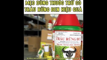 Bí quyết làm tăng sức mạnh cho thuốc trừ cỏ trâu rừng đen