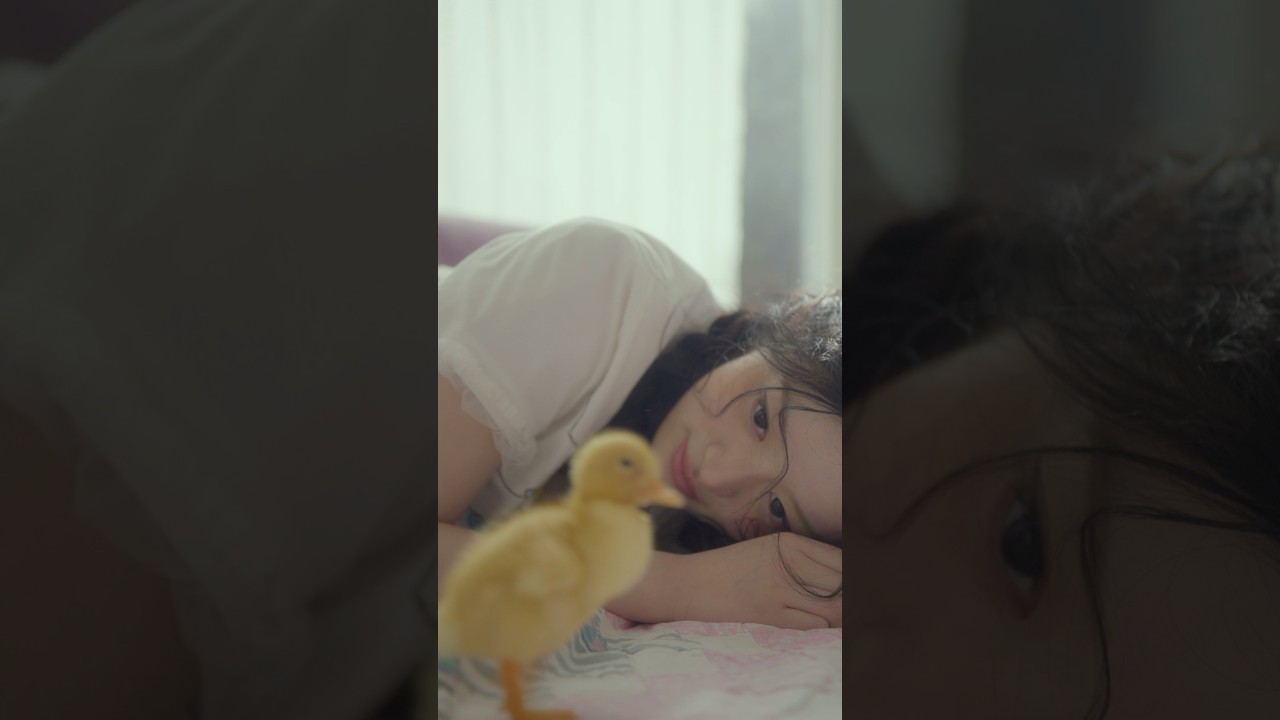 ILLIT (아일릿) ‘MAMIHLAPINATAPAI’ Concept Film PAW PAW 🐾 - #MINJU