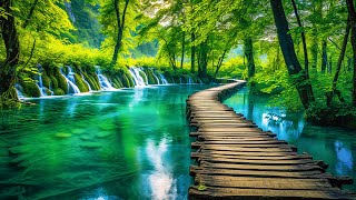 Relaxing Music For Stress Relief, Anxiety and Depressive States • Heal Mind, Body and Soul screenshot 4