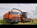 Заготовка сенажа / ПАЛЕССЕ FS8060, FS80, John Deere 7480 / МАЗ 6501, 5551, БЕЛАРУС 1221 и другие /