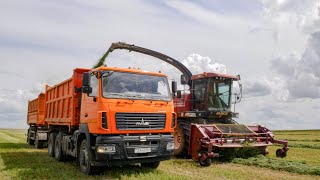 Заготовка сенажа / ПАЛЕССЕ FS8060, FS80, John Deere 7480 / МАЗ 6501, 5551, БЕЛАРУС 1221 и другие /