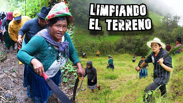 ALLPA PICHAY CON LA FAMILY | Memito Castro