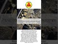 【A Moment of Riveting】 #AutomotiveSafety #FastenerSolution #BuiltToLast #StructuralIntegrity