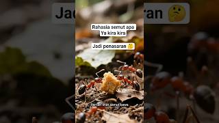 Rahasia semut kecil yang hebat🤔 #Shorts #CeritaSemut #Motivasi