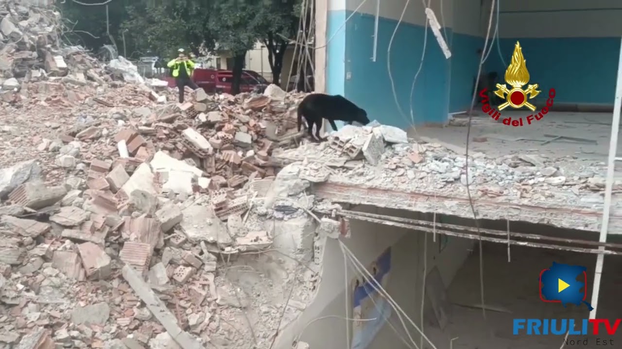 MONFALCONE. ADDESTRAMENTO UNITA’ CINOFILE VIGILI DEL FUOCO FRIULI VENEZIA GIULIA