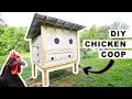 DIY Chicken Coop for 25 Chickens// How to Build 🐓