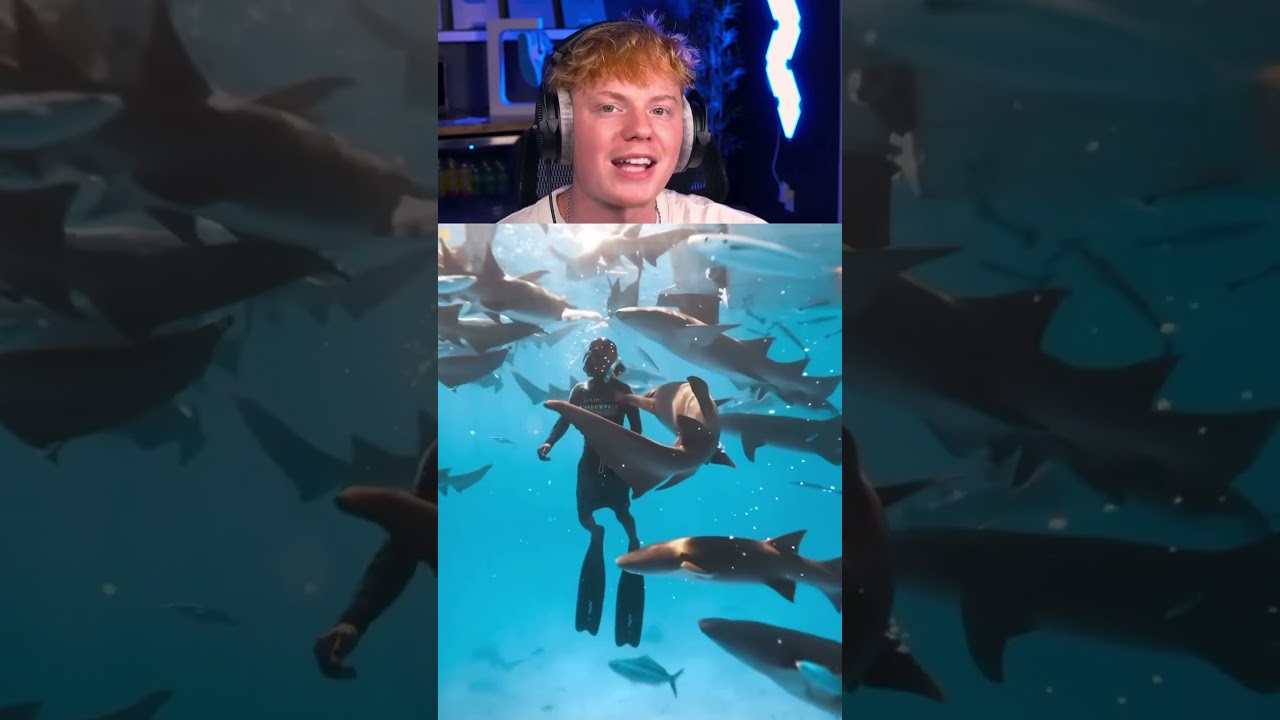 Places for Animal Lovers! 😱