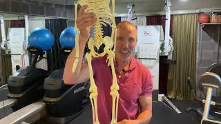 Answering Your Questions About Back Pain & Sciatica: Secrets to Lasting Relief Part 2