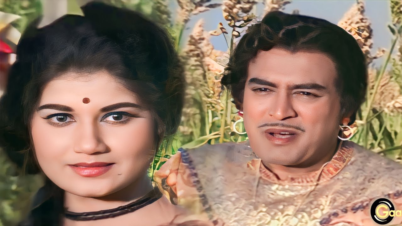 O Firkiwali Tu Kal Phir Aana  4K Video  Raja Aur Runk 1968  Mohammed RafiSanjeev Kumar Nazima