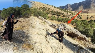 A story of Mother and Maryam's hardest day: finding firewood in the mountains A story of Mother and Maryam's hardest day: finding firewood in the mountains