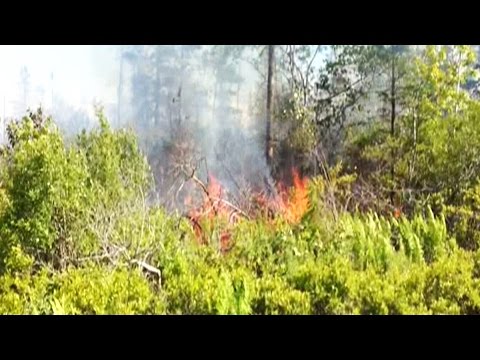 MyNews: Fire crews battle brush fire near Bayers Lake, N.S. - YouTube
