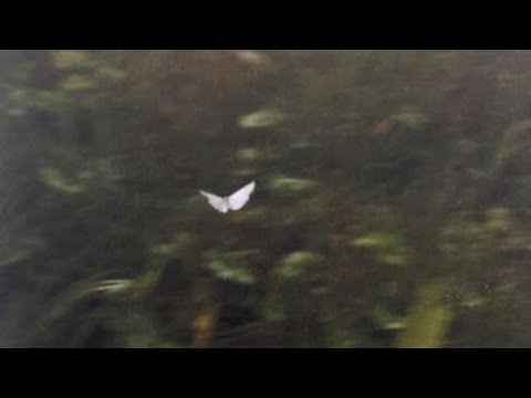 lantas - juicy luicy | speed up [tiktok version]