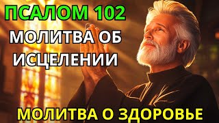 :  102 -    |    