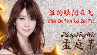 Shei De Yan Lei Zai Fei《谁的眼泪在飞》【Lagu Mandarin】- Meng Ting Wei 孟庭苇 [Indo/Pinyin Lyric & terjemahan]