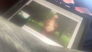 Open Season Hasbro Style Part 9 - Timberline Is Missing