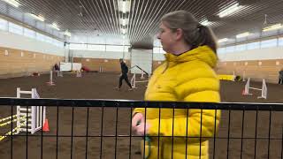 Fen CKC Agility Jan 2025