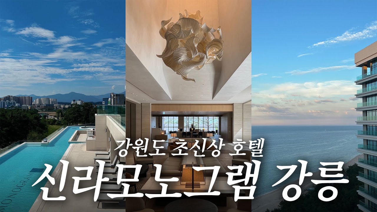 오픈 전 다녀온 강릉 신라호텔 생생 후기! 10개월 아기와 함께한 신라모노그램 강릉 수영장, 조식, 룸투어 등