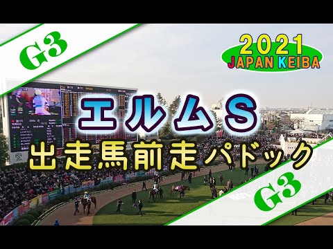 【競馬パドック】エルムS・前走パドック（2021年）