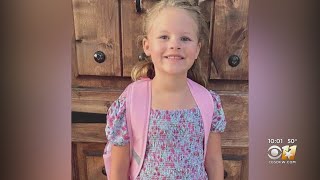 Volunteers in Wise County help search for missing 7-year-old Athena Strand