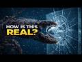 5 Animals With Powers That Shouldn’t Exist