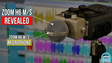 Zoom H6 M/S Microphone | REVEALED 🎙️