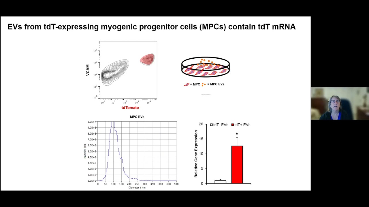 Charlotte A. Peterson - "Novel roles for satellite cells in muscle adaptation and aging"