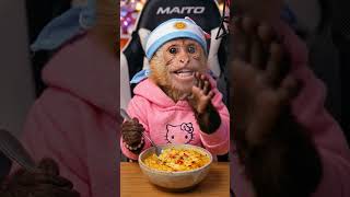 MONO KIBO comiendo HUMITA EN OLLA 🌽 ASMR Mukbang (Sonidos Cremosos) #humita #monoasmr #monkey