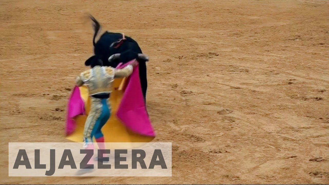 تظاهر الكولومبيون ضد مصارعة الثيران