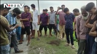 3 Robbers Shot Dead In Assam's Kokrajhar As Police Stop Bank Heist