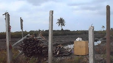 Cwalker  - Jaytee huynh - Cái Đôi Vàm - Cà Mau. patch 1