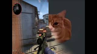 Csgo Cat On Top Of The World - Edit D