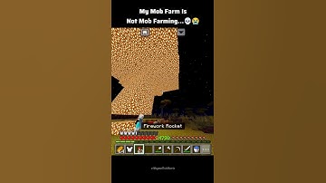 Someone Explain Why Mob Farm is not Working 😭🙏
