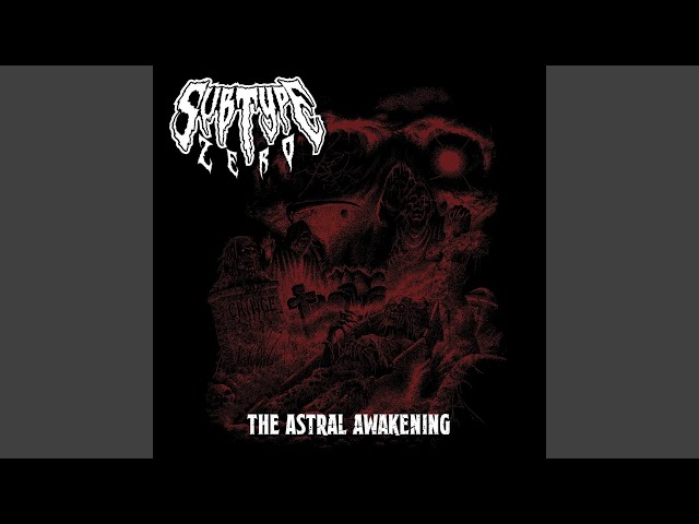 Subtype Zero - Relentless Cleansing