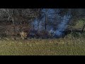 Fire in the Forest! Drone Video of Controlled Fence Line Burn