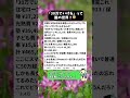 【生活費】「30万でいける」って誰の世界？😇 #家計管理 #リアル家計 #主婦の本音#家計あるある #夫婦の会話 #生活費#住宅ローン#子育て家庭#生活費公開