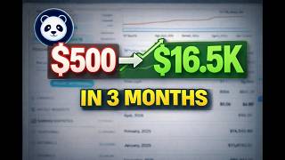 From $500 to $16.5K/Month — OFM Case Study