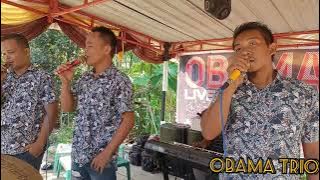 NUNGA TURPUK MU BORUKU ||Cipt: Sadar Siahaan ||cover||Obama trio