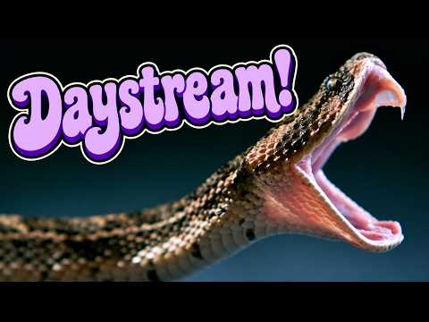 Into the Daystream