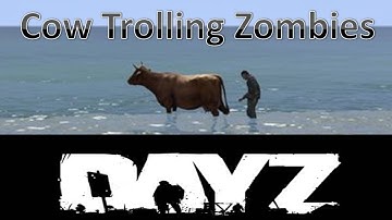Cow Trolling Zombies DayZ SA