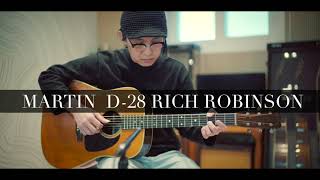 Martin D-28 Rich Robinson / in christ alone